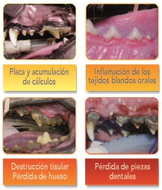 Imagen relacionada