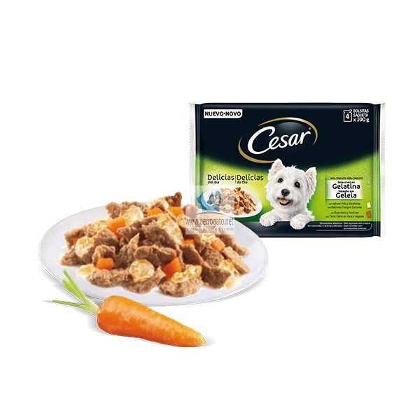 Royal Canin Multipack Puppy Comida Húmeda para Cachorros