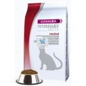 EUKANUBA FELINE ADULTO INTESTINAL FORMULA POLLO 1,5 Kg Comida para Gatos