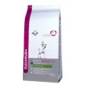 EUKANUBA CANINE ADULT-JACK RUSSELL POLLO 2 Kg Pienso para Perros