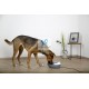 FUENTE EYENIMAL CLASIC PET Perros y Gatos 1,75 Litros Bebederos para Perros y Gatos