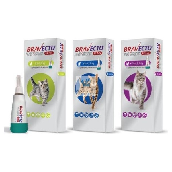 bravecto perros amazon