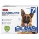 CANIGUARD DUO 4 Pipetas Antiparasitario para Perros