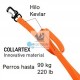 CORREA EVOLUTOR Ancho 25 mm Correas para Perros