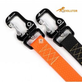 CORREA EVOLUTOR Ancho 25 mm Correas para Perros