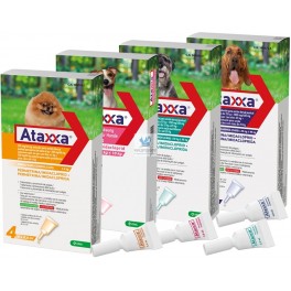 ATAXXA SPOT ON 4 Pipetas para Perros Antiparasitario Externo