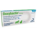 DOXYBACTIN 10 Comprimidos Antibiotico Oral para Perros y Gatos