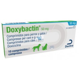 Doxiciclina 200 Mg En Perros