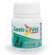 GASTROVET 30 Comprimidos Protectos Gástrico de Perros y Gatos