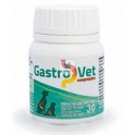 GASTROVET 30 Comprimidos Protectos Gástrico de Perros y Gatos