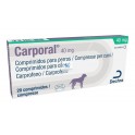 CARPORAL 40 mg 100 Tabletas Antiinflamatorio para Perros