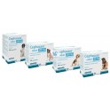 CEPHACARE 100 Comprimidos Cefalexina para Perros y Gatos
