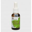 DHA PET SUPPORT ALGAS 30 ml Complemento Nutricional de Perros y Gatos