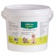 MILK CAN LECHE POLVO STANVET 2 Kg Leche en polvo para Perros y Gatos