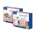 EVICTO GATOS 4 PIPETAS Antiparasitario Externo en Pipetas para Gatos