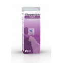 RHEUMOCAM ORAL GATOS 10 ml Antiinflamatorio para Gatos