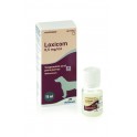 LOXICOM 0.5 mg/ml PERRO 15 ml Antiinflamatorio Suspensión Oral