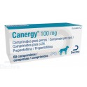 CANERGY 100 mg 60 Comprimdos