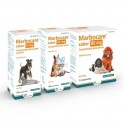 MARBOFLOXACINO EMDOKA Comprimidos Antobioticos para Perros y Gatos