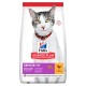 Hills Feline SENIOR 11+ POLLO 1.5 Kg comida para gatos