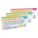 CLINDABACTIN 10 Comprimidos Antibiotico para Perros y Gatos