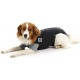 BUSTER BODY SUIT CLASSIC PERRO Ropa para Perros