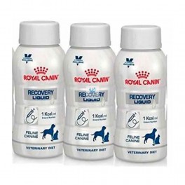 RC Recovery Líquido Canine y Feline 3x200 ml Pienso para Perros; comida para gatos