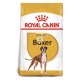 Royal Canin Boxer Adult Pienso para Perros