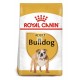 Royal Canin Adult Bulldog 12 Kg Pienso para Perros