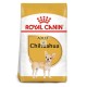 Royal Canin Adult Chihuahua 3 Kg Pienso para Perros
