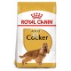 Royal Canin Adult Cocker 12 Kg Pienso para Perros