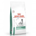 Royal Canin Diabetic 12 Kg Pienso para Perros