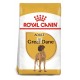 Royal Canin Adult Great Dane 12 Kg Pienso para Perros