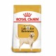 Royal Canin Adult Labrador Retriever 12 kg Pienso para Perros