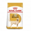 Royal Canin Labrador Retriever Adult 12 kg Pienso para Perros