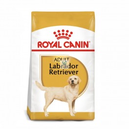 Royal Canin Adult Labrador Retriever 12 kg Pienso para Perros