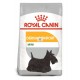 Royal Canin Dermacomfort Mini 8 Kg Pienso para Perros