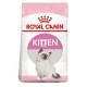 Royal Canin Kitten Comida para Gatos