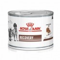 Royal Canin Recovery 12x195 gr pienso para perros y gatos