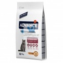 Advance Sterilized Senior 1,5 kg Comida para Gatos