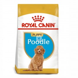 Royal Canin Poodle Puppy 3 Kg Pienso para Perros