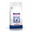 Royal Canin Neutered Young Female 10 kg comida para gatos