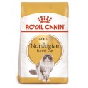 Royal Canin Feline Adult Norwegian Forest 10 Kg Comida para gatos