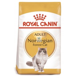 Royal Canin Feline Adult Norwegian Forest 10 Kg Comida para gatos