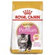 Royal Canin Feline Kitten Persian Comida para Gatos