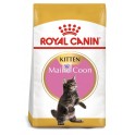 Royal Canin Feline Kitten Maine Coon Comida para Gatos