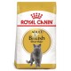 Royal Canin Feline Adult British Shorthair 10 Kg Comida para gatos
