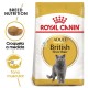Royal Canin Feline Adult British Shorthair 10 Kg Comida para gatos
