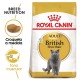Royal Canin Feline Adult British Shorthair 10 Kg Comida para gatos