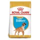 Royal Canin Puppy Boxer 12 kg Pienso para Perros